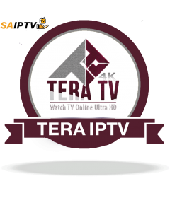 تيرا TV