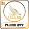 Falcon TV